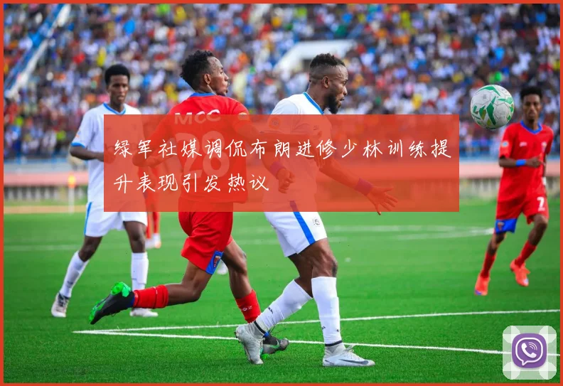 绿军社媒调侃布朗进修少林训练提升表现引发热议
