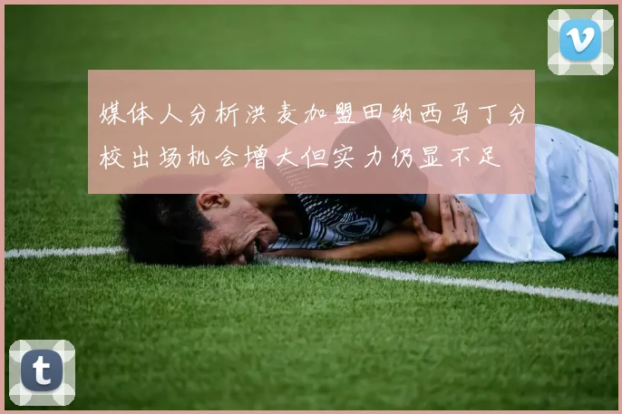 媒体人分析洪麦加盟田纳西马丁分校出场机会增大但实力仍显不足